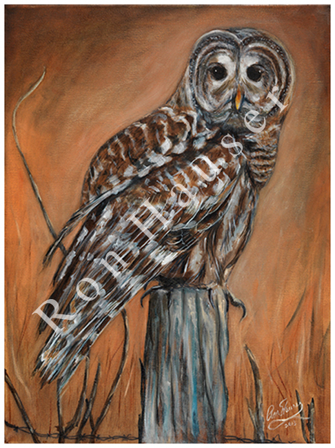 001_Owl