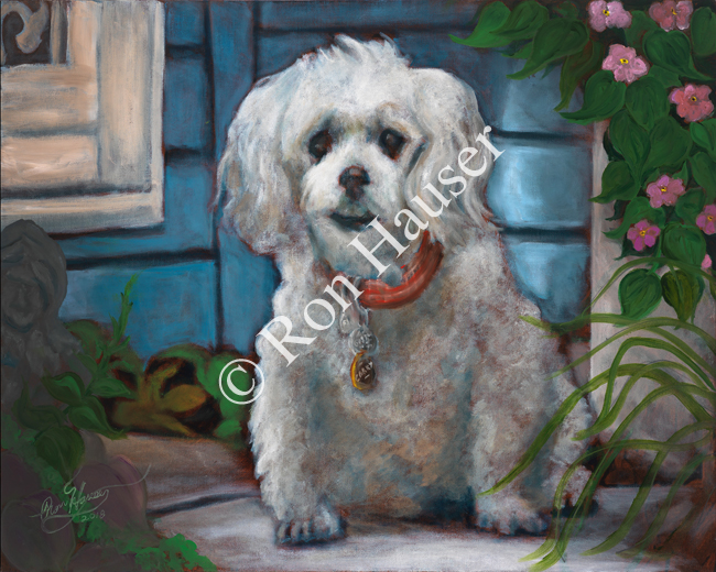 Corky_16x20